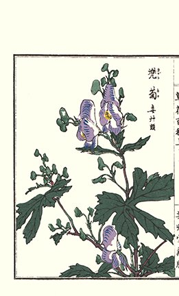 photo108.jpg