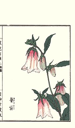 photo110.jpg