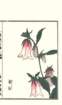 photo110_small.jpg