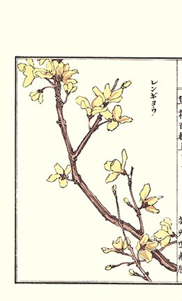 photo112.jpg