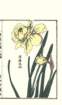 photo118_small.jpg
