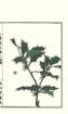 photo120_small.jpg