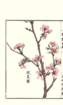 photo123_small.jpg