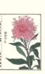 photo136_small.jpg