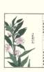 photo137_small.jpg