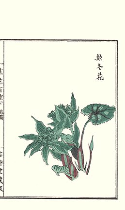 photo169.jpg