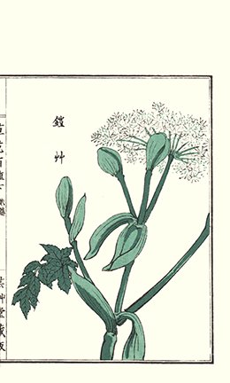 photo174.jpg