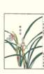 photo175_small.jpg