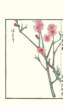 photo179_small.jpg