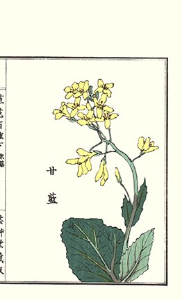 photo182.jpg