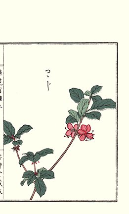 photo22.jpg