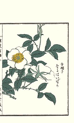 photo28.jpg