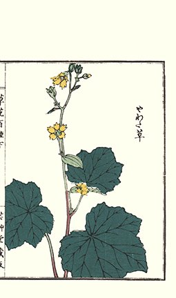 photo75.jpg