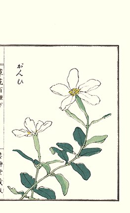 photo87.jpg