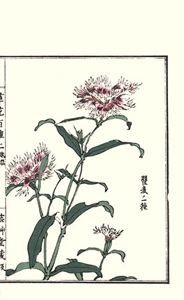 photo91.jpg