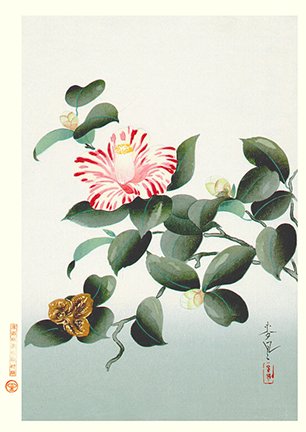 photo4.jpg