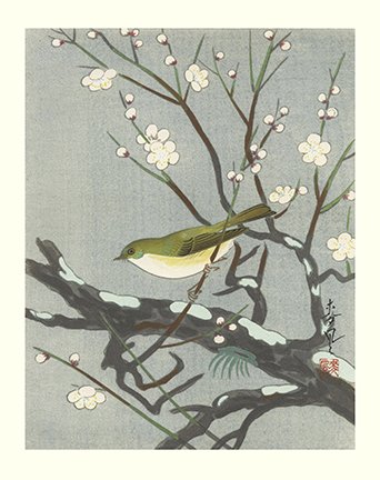 photo9.jpg