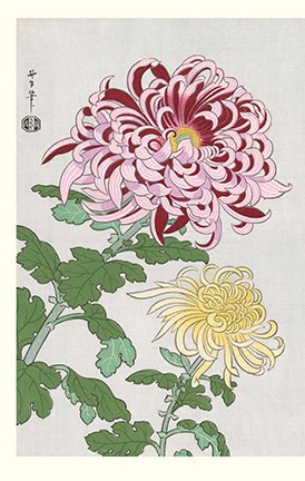 photo.jpg
