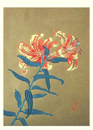 photo8.jpg