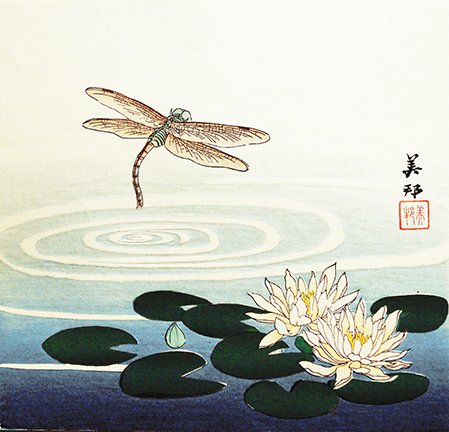 photo16.jpg