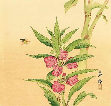 photo18.jpg