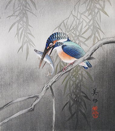 photo7.jpg