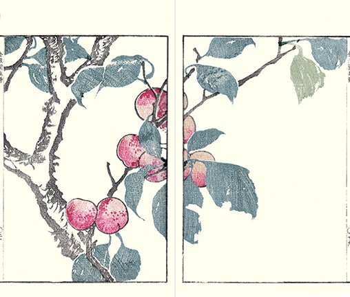 photo18.jpg