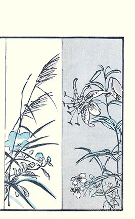 photo3.jpg