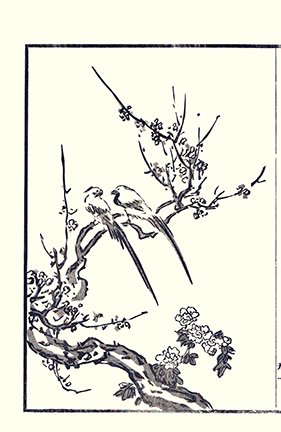 photo22.jpg