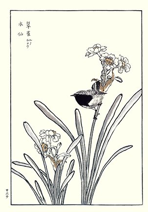 photo11.jpg