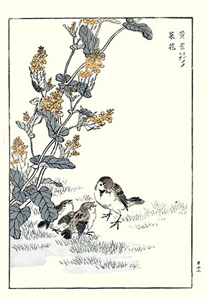 photo22.jpg