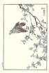 photo29_small.jpg