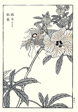 photo30.jpg