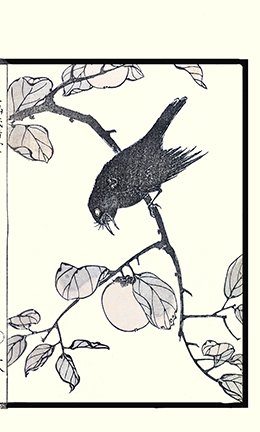 photo8.jpg