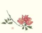 photo20_small.jpg