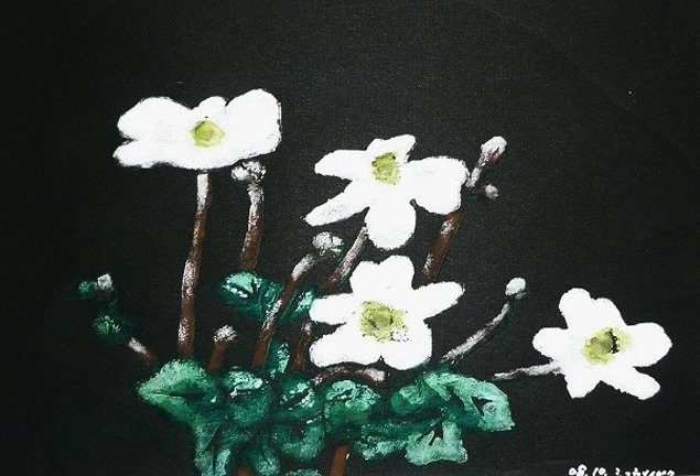 photo26.jpg