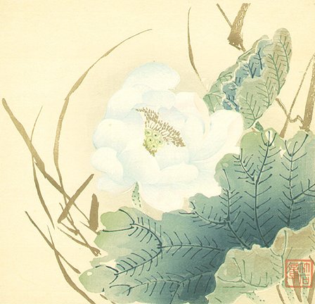 photo16.jpg