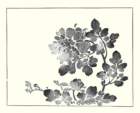 photo12_small.jpg
