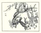 photo6_small.jpg