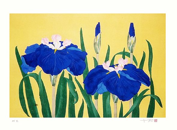 photo31.jpg