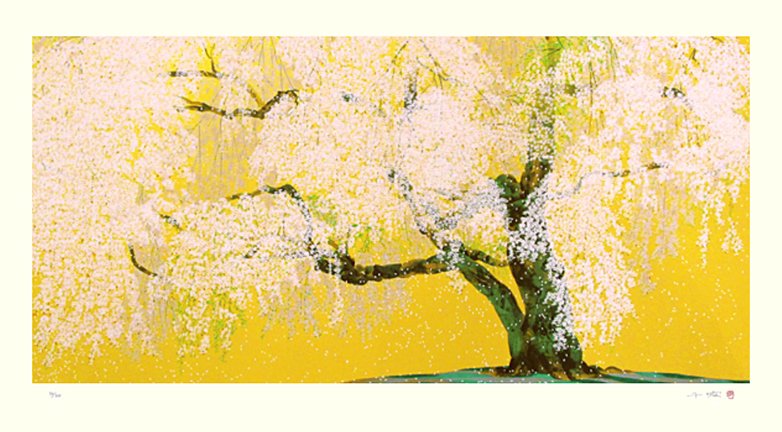 photo61.jpg