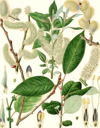 photo13.jpg