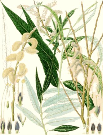 photo15.jpg