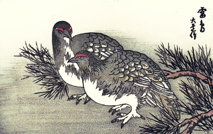 photo10.jpg