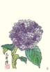 photo7_small.jpg