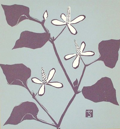 photo4.jpg