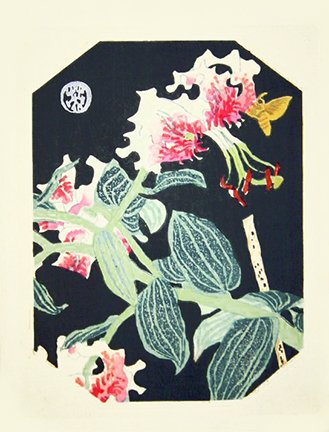 photo26.jpg