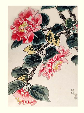 photo28.jpg