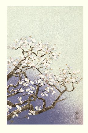 photo6.jpg