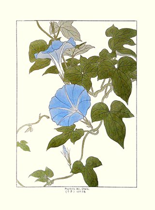 photo17.jpg